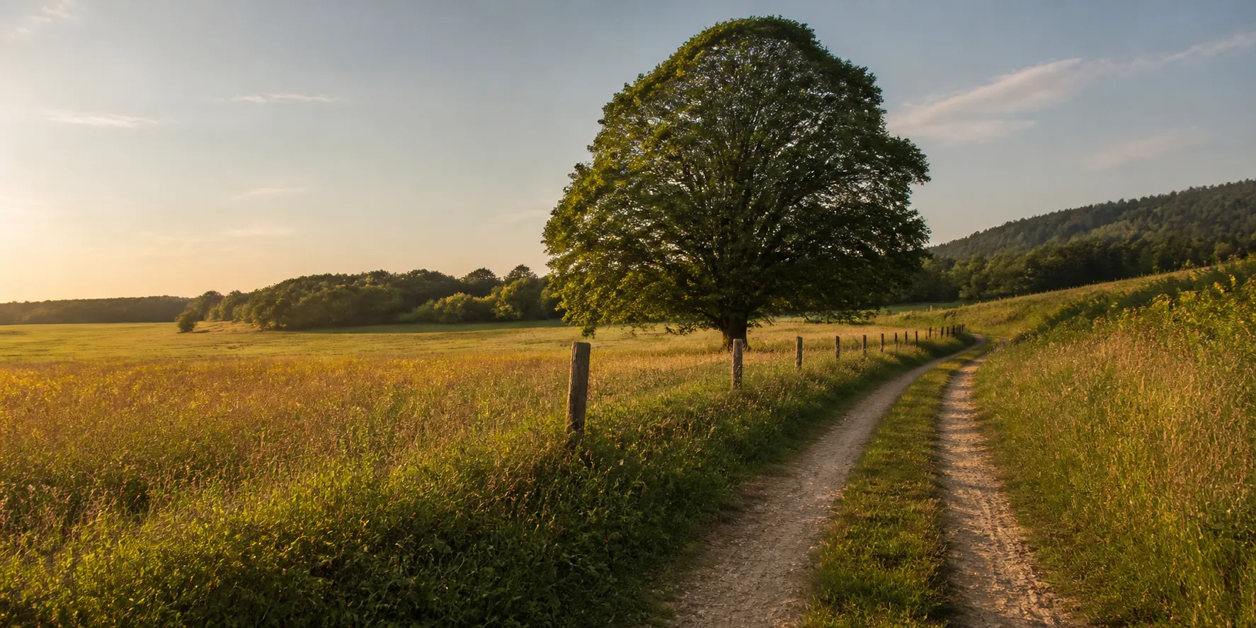Paysage agricole et pâturages du Mont-Soleil
