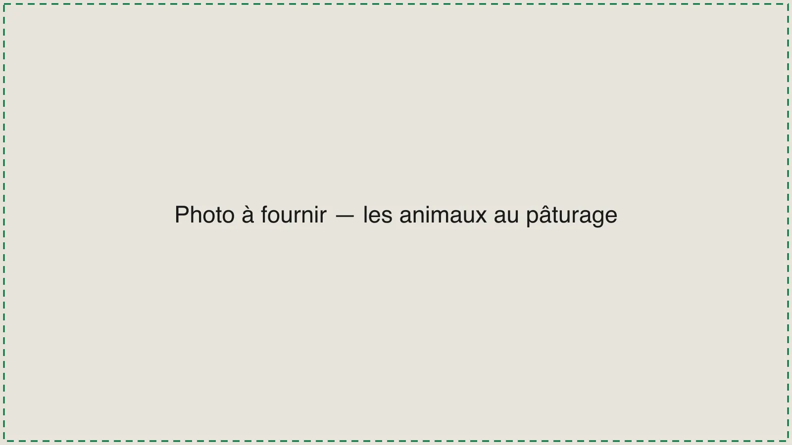 [TODO-DATA] photo à fournir : les animaux au pâturage