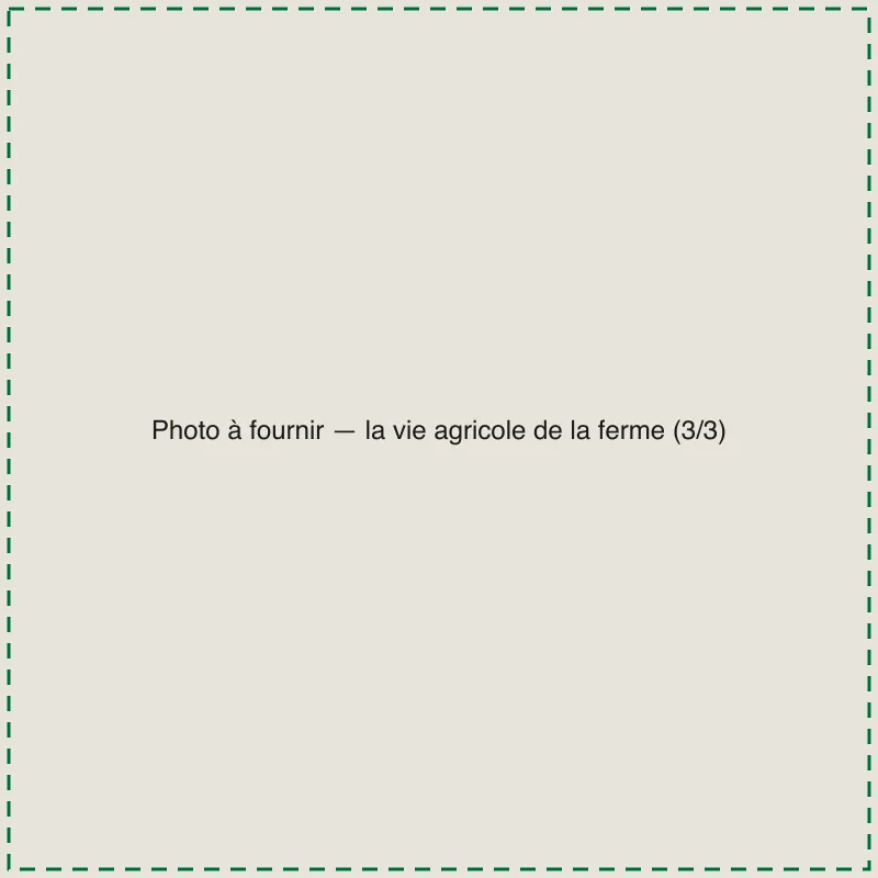 [TODO-DATA] photo à fournir : la vie agricole de la ferme (3/3)