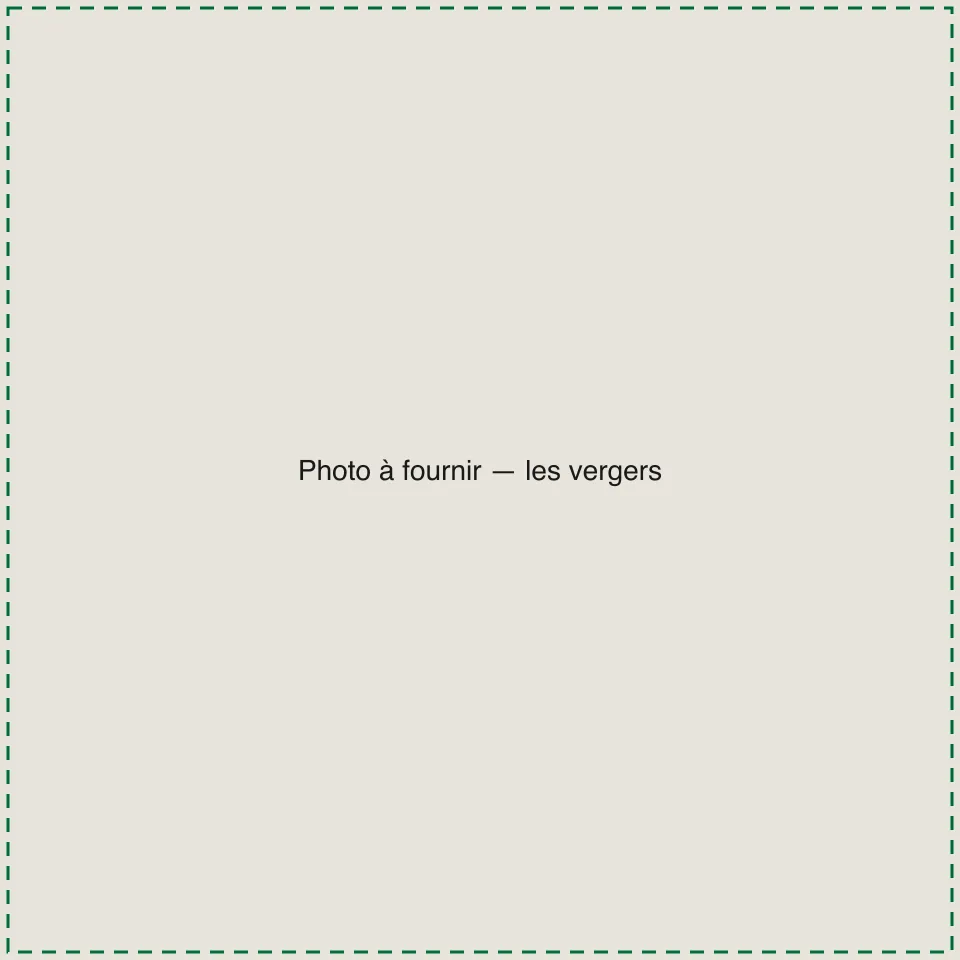 [TODO-DATA] photo à fournir : les arbres fruitiers à haute tige de la ferme