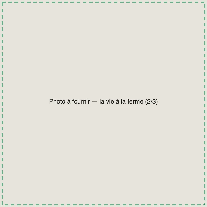 [TODO-DATA] photo à fournir : la vie à la ferme au fil des saisons