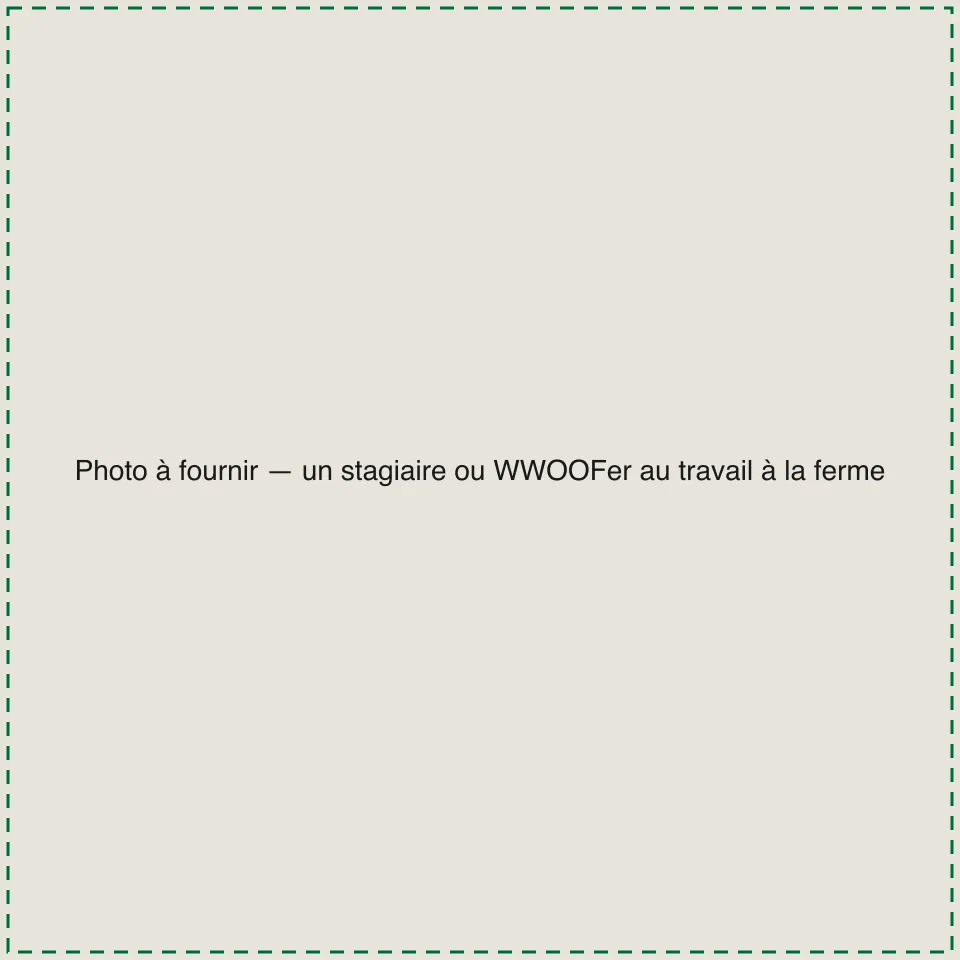 [TODO-DATA] photo à fournir : un stagiaire ou WWOOFer au travail à la ferme