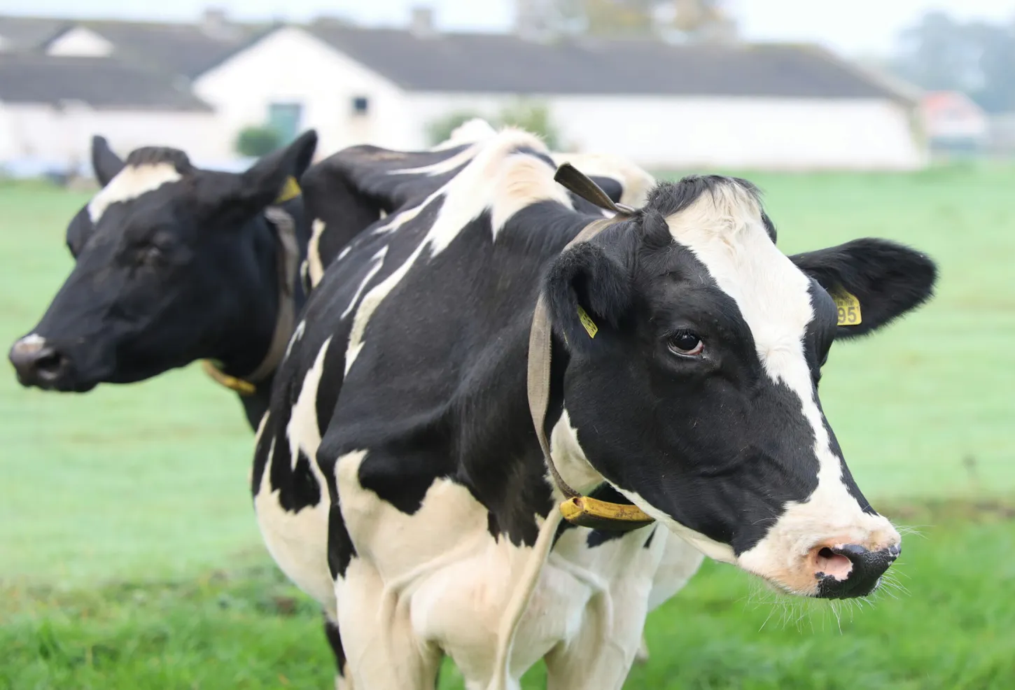 [TODO-DATA] photo à fournir : la transformation à la ferme