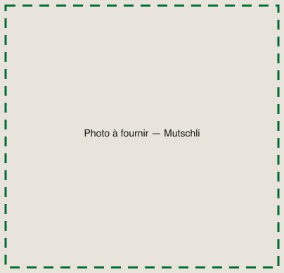 [TODO-DATA] photo à fournir : le mutschli