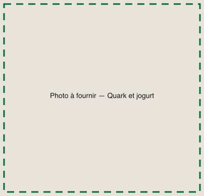 [TODO-DATA] photo à fournir : le quark et le jogurt